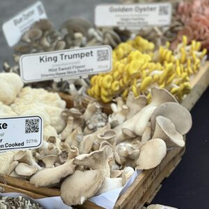 Colorful variety of mushrooms including King Trumpet and Golden Oyster.
